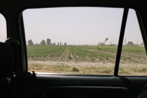 central asia uzbekistan stefano majno taxi  pic.jpg